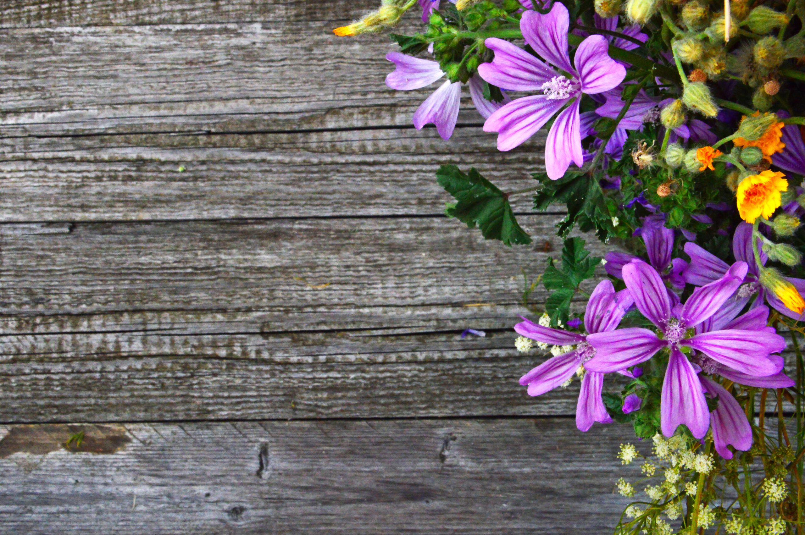 Fioletowe kwiaty na tle drewnianej ściany